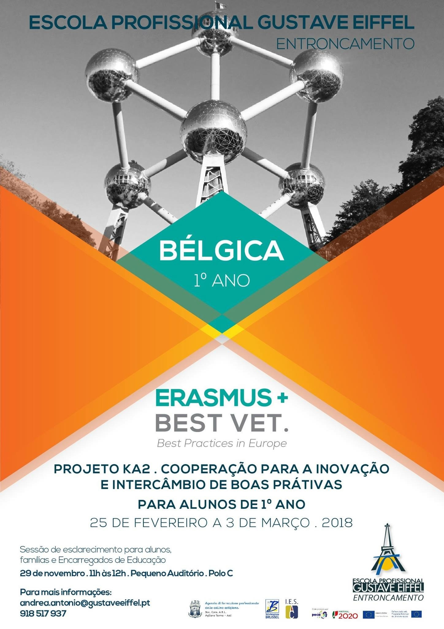 bestvet_cartaz